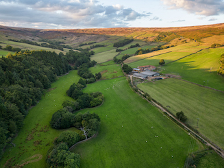 iStock-1442698302, Farndale on NYM